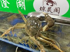 -阳澄湖大闸蟹·琼灵阁牌品牌连锁(吴中总店)