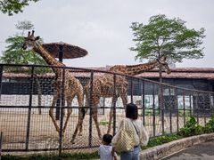 -灵玲国际马戏城