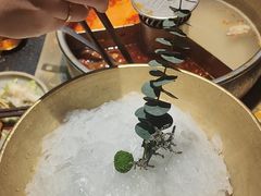 -巴奴毛肚火锅(广益哥伦布店)