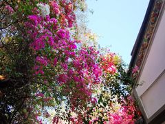 -深圳国际园林花卉博览园