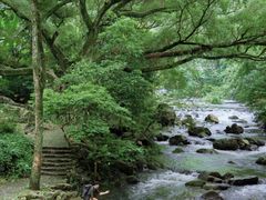 -广州市石门国家森林公园