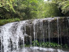 -龙苍沟森林公园