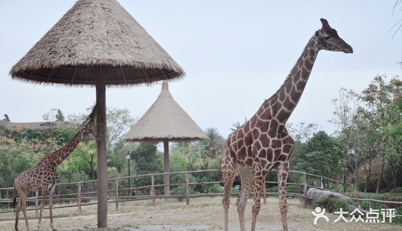 南昌動物園