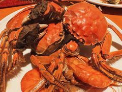 -视界美食自助餐厅·石家庄希尔顿酒店