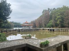 -深圳仙湖植物园