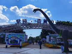 -紫颐香薰山谷景区