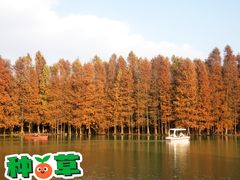 -上海海湾国家森林公园