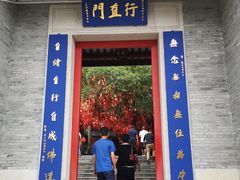 -国恩寺