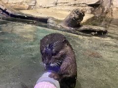 -重庆欢乐海底世界