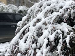 -Pita's&Tika's中东和印度风味餐厅(龙湖天街店)