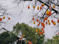 -西溪国家湿地公园