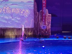 -华夏文旅海洋公园