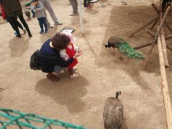 -萌宠亲子动物乐园(槐房万达店)