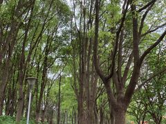 -美兰湖景区