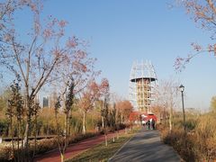 -永定河休闲森林公园