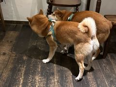 -三目仓咖啡(贤南路店)