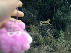 -空心山旅游区