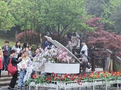 -铁山坪森林公园