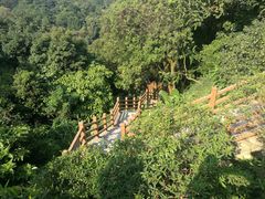 -广州市帽峰山景区