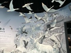 -中国湿地博物馆