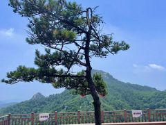 -沂蒙山旅游区云蒙景区(蒙山国家森林公园)