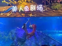 -太奥幻太奇海洋馆