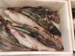 -江湖水乡铁锅炖魚(周庄嘉园店)