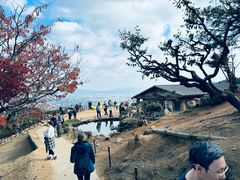 -岚山猴子公园