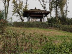 -桂溪生态公园