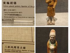 -洛阳博物馆