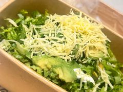 -油梨树 AVOCADO TREE(亮马桥店)