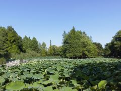 -白塘生态植物园