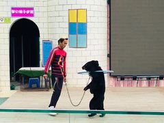 -瓷天下海丝谷