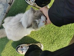 -小鱼草莓采摘园农家乐·小鱼餐厅