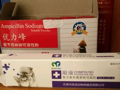 -邢大夫动物医院