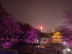 -福神岗公园