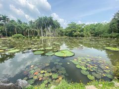 -西双版纳傣族园