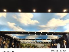 -馨越楼·点心·粤菜(赤坎店)