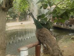 -呀路古热带植物园