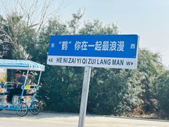-盐城丹顶鹤湿地生态旅游区