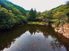 -国家植物园南园