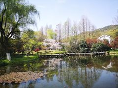 -西溪国家湿地公园