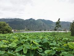 -大理洱源西湖景区