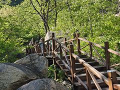 -大岭沟猕猴桃谷风景区