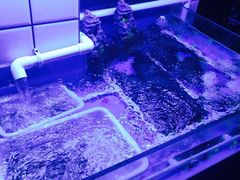 -路边摊小炉子烧烤