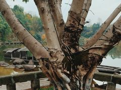 -两江国际影视城