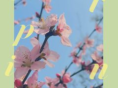 -秀丽东方