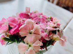 -The Rug Cafe(王府中环店)
