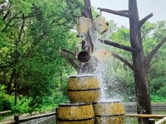 -黑龙江省森林植物园