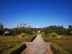 -南沙蒲洲花园